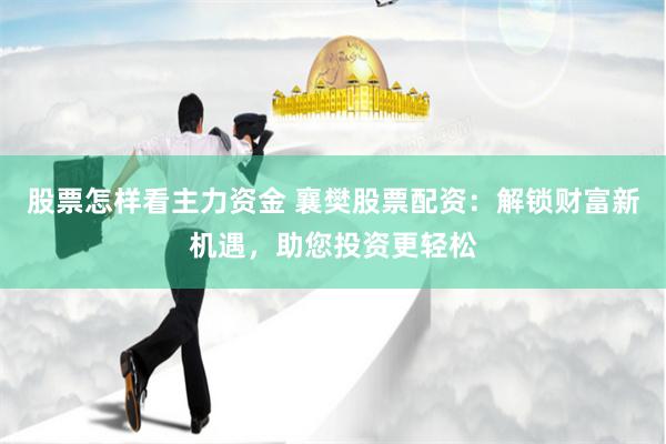 股票怎样看主力资金 襄樊股票配资：解锁财富新机遇，助您投资更轻松