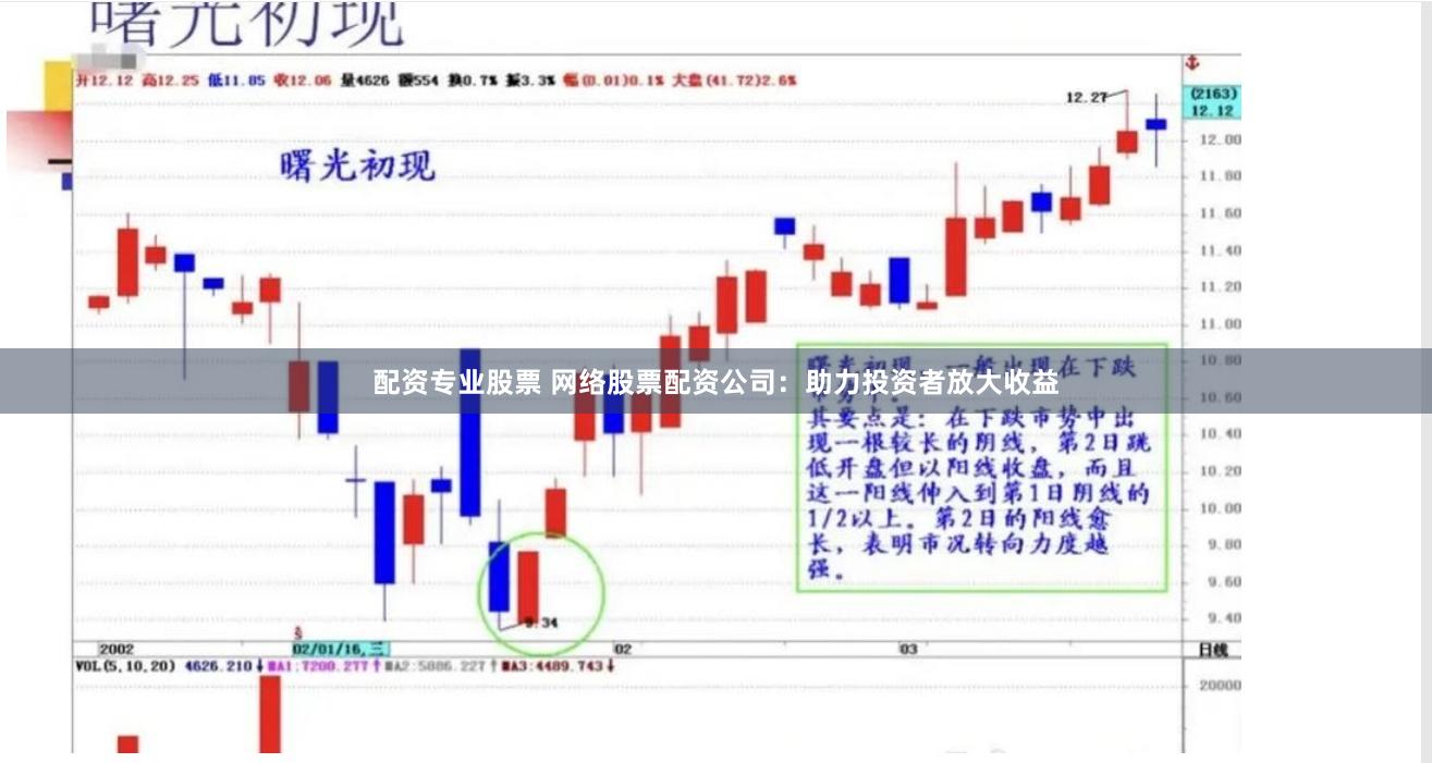 配资专业股票 网络股票配资公司：助力投资者放大收益