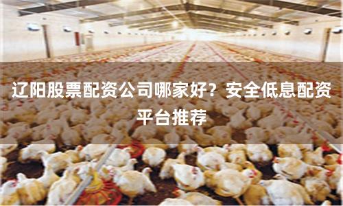 辽阳股票配资公司哪家好？安全低息配资平台推荐