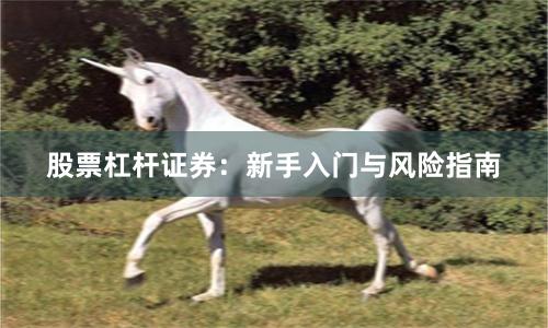 股票杠杆证券：新手入门与风险指南