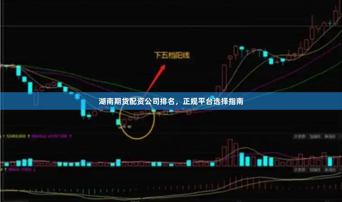 湖南期货配资公司排名,正规平台选择指南