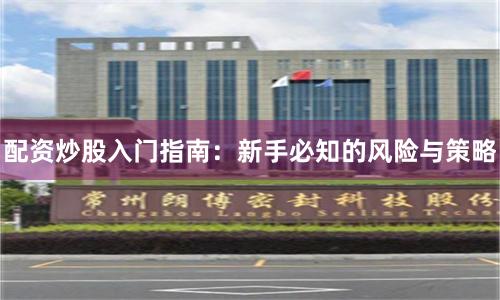 配资炒股入门指南：新手必知的风险与策略